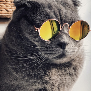 非洲大屁股美女与野兽交配视频
