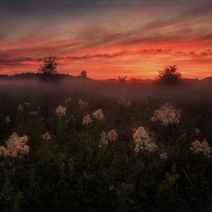 非洲大屁股美女与野兽交配视频
